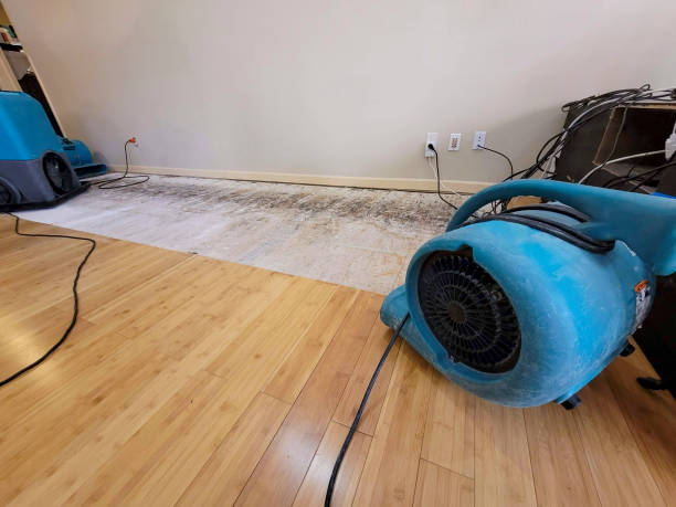 Professional Water Damage Repair technician working in Graysville, OH